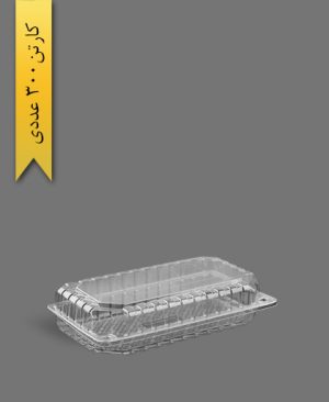 ایر باکس کوتاه - ظروف یکبار مصرف پارس پلاستیک
