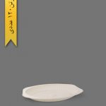 دیس گیاهی کوچک - ظروف گیاهی یکبار مصرف آملون