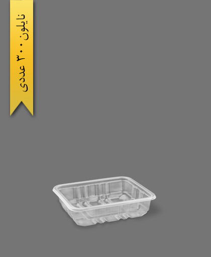 ظرف سالادی شفاف 18×14 - ظروف یکبار مصرف پارت نگین