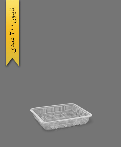 ظرف سالادی شفاف 18×14 - ظروف یکبار مصرف پارت نگین
