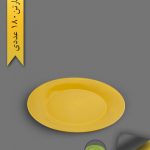 بشقاب غذاخوری گرد تم تولد رنگ جور - ظروف یکبار مصرف کوشا