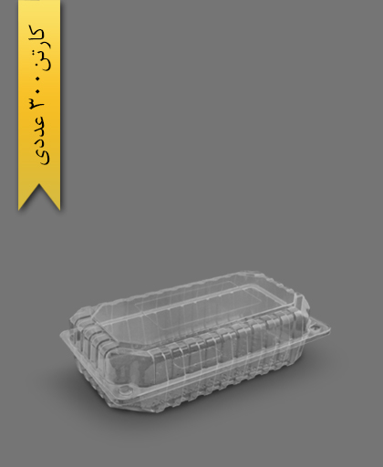 ایر باکس بلند - ظروف یکبار مصرف پارس پلاستیک