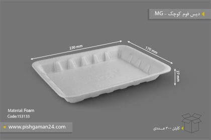 دیس فوم کوچک - ظروف یکبار مصرف ام جی