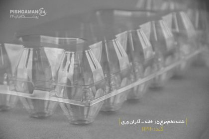 شانه تخم مرغ 15 خانه  - آذران ورق  (کارتن 100 عددی) - تصویر 5