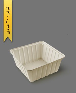 ظرف بری بسکت - ظروف یکبار مصرف صنایع پلاستیک خوزستان