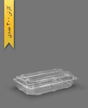 جعبه مجلسی کوتاه - ظروف یکبار مصرف صنایع پلاستیک خوزستان