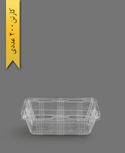 جعبه میوه 1000 پانچدار - ظروف یکبار مصرف صنایع پلاستیک خوزستان