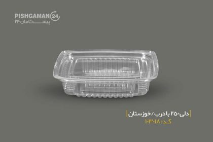 دلی 250 با درب - ظروف یکبار مصرف صنایع پلاستیک خوزستان