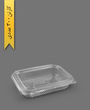 دلی مدیوم 500cc - ظروف یکبار مصرف پارس پلاستیک