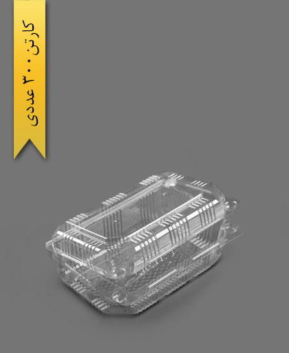 لانچ باکس بلند - ظروف یکبار مصرف کاسپین