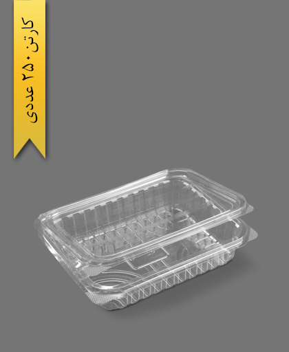 دلی 1000 - ظرف یکبار مصرف تاک واریان