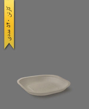 کیک خوری گیاهی - ظروف گیاهی یکبار مصرف آملون