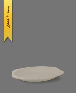 دیس گیاهی متوسط - ظروف گیاهی یکبار مصرف آملون