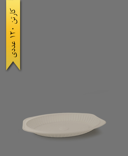 دیس گیاهی کوچک - ظروف گیاهی یکبار مصرف آملون