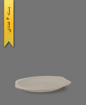 دیس گیاهی کوچک - ظروف گیاهی یکبار مصرف آملون