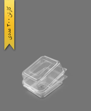 ظرف شیرینی L0 شفاف - ظروف یک‌بار مصرف MG