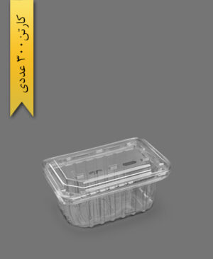 ظرف میوه 750 - ظرف یک‌بار مصرف آذران ورق