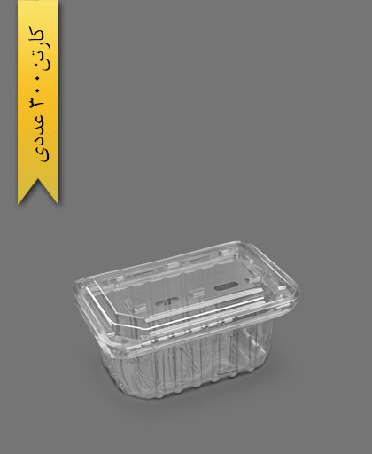 ظرف میوه 750 - ظرف یکبار مصرف آذران ورق